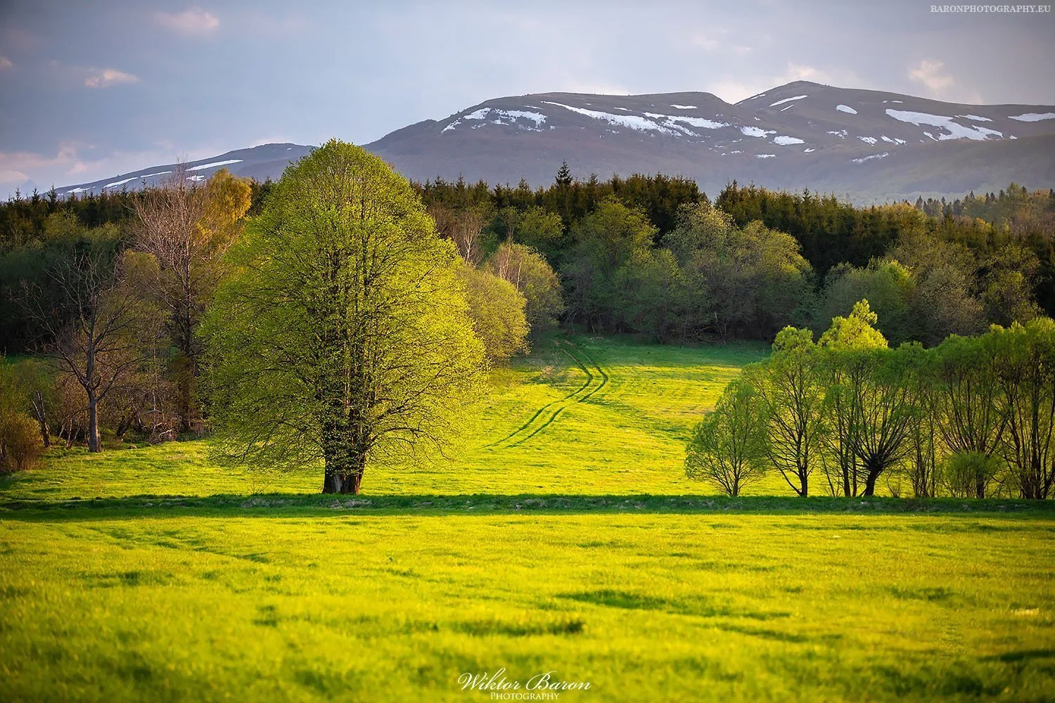 Bieszczady - Tarnawa Wyżna
