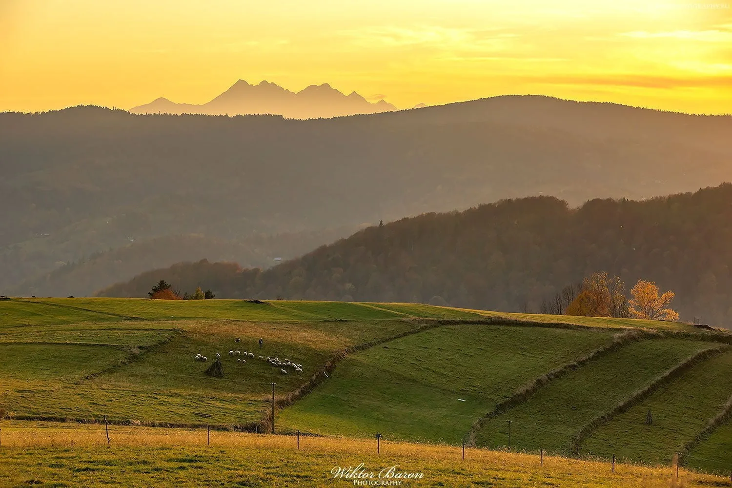 Beskid Sądecki 13 Łomnica Zdrój
