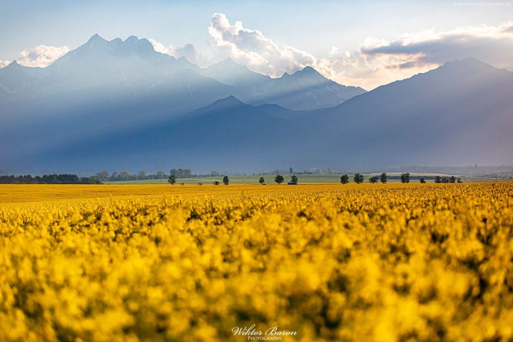 Fototapeta Góry Tatry