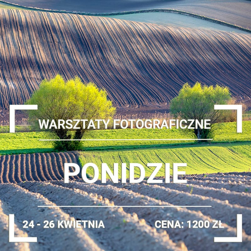 Warsztaty Fotograficzne Ponidzie 2026 1 Warsztaty Fotograficzne Ponidzie 2026