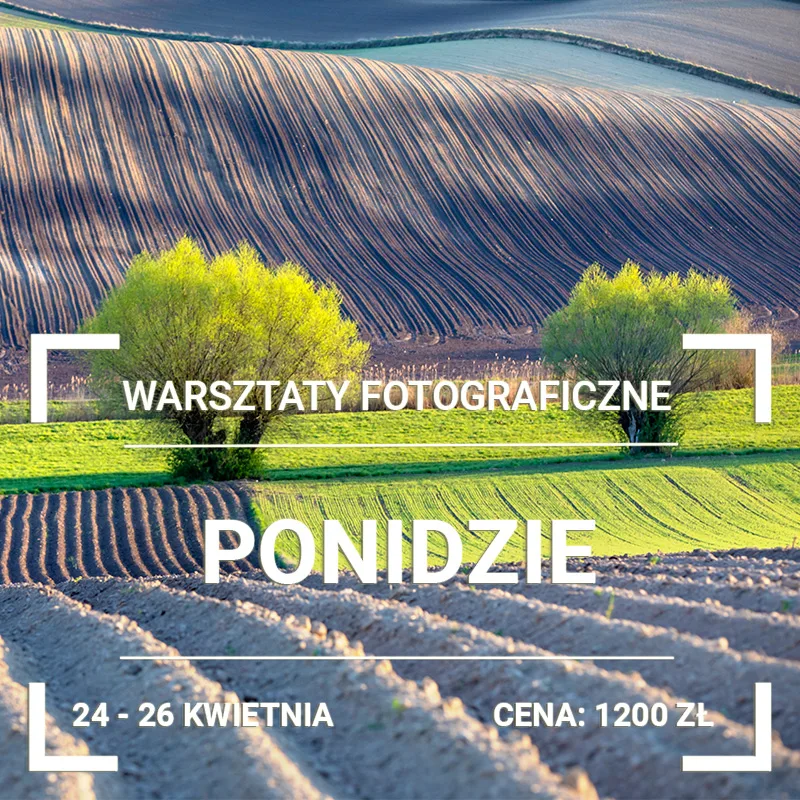 Warsztaty Fotograficzne Ponidzie 2026
