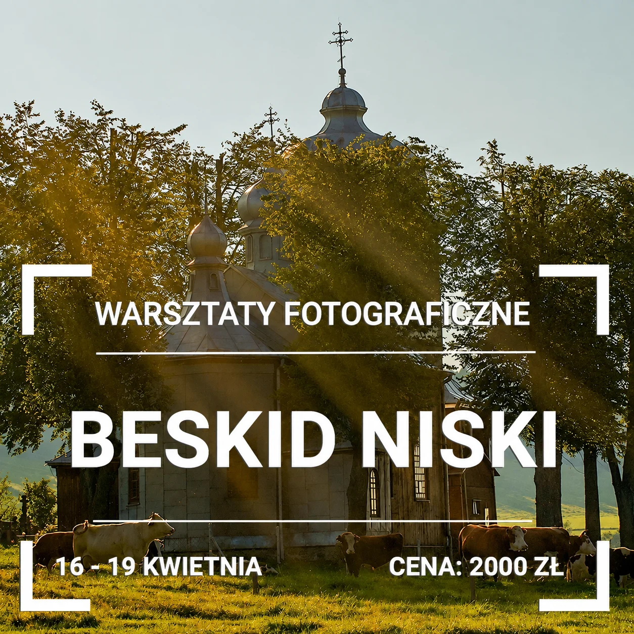 WARSZTATY-FOTOGRAFICZNE-BESKID-NISKI-2026