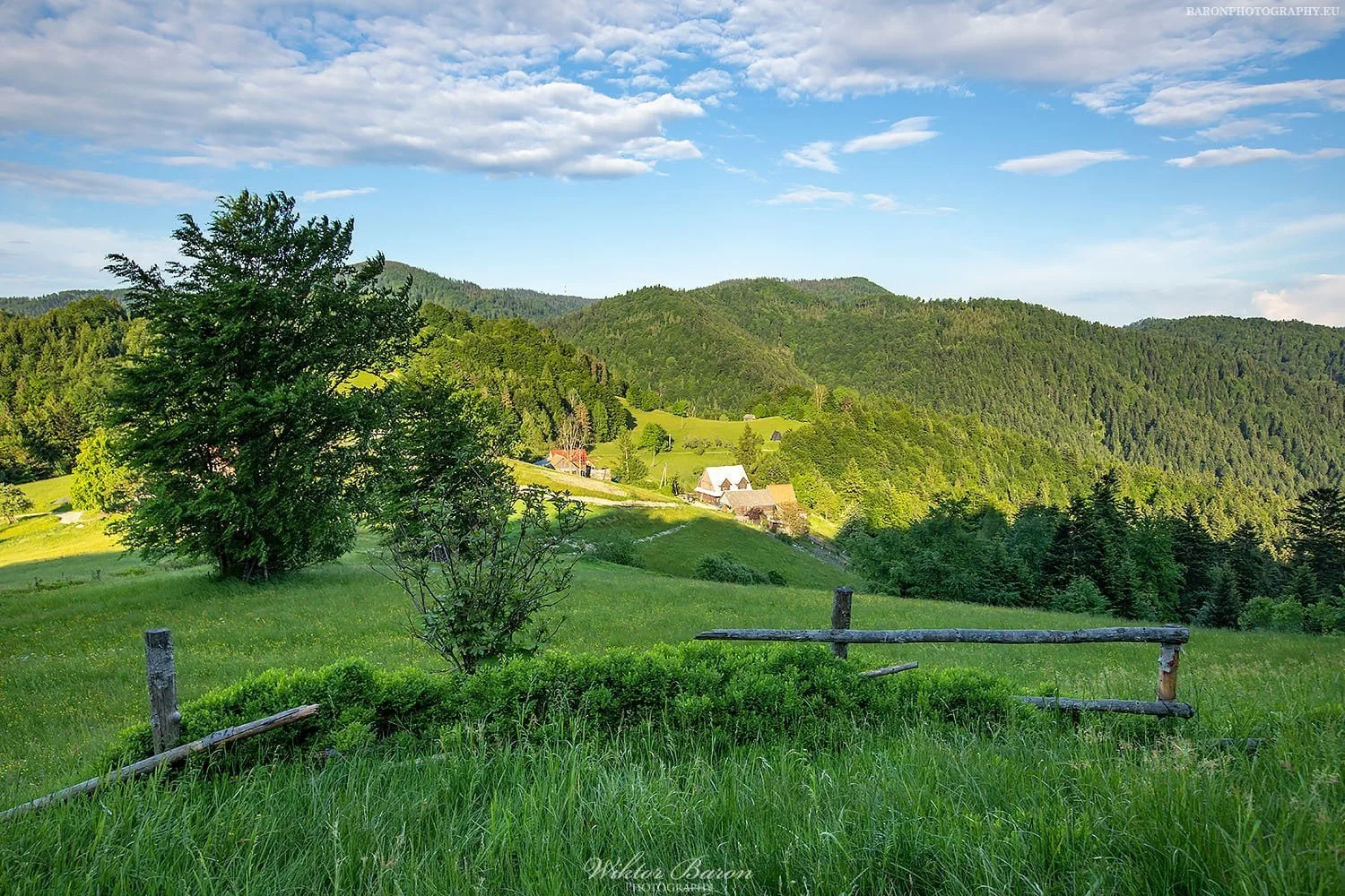 Najpiękniejsze szlaki w Beskidzie Sądeckim