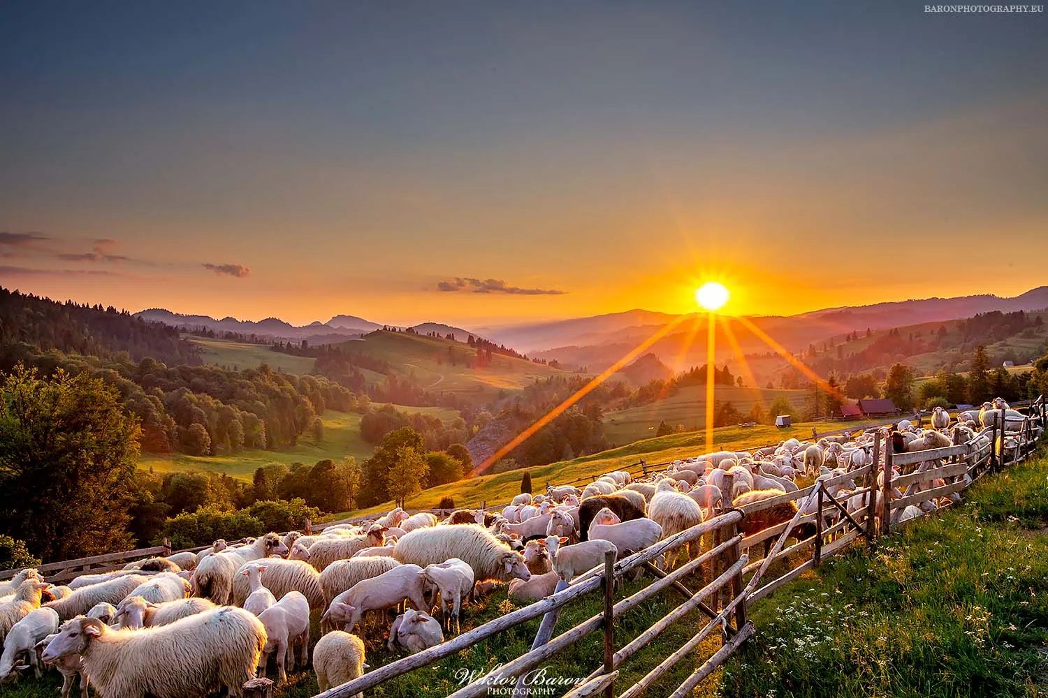 NAJPIEKNIEJSZE SZLAKI W BESKIDZIE SADECKIM 
