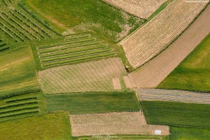 Pola i pastwiska w Beskidzie Wyspowym - Fotografia lotnicza 