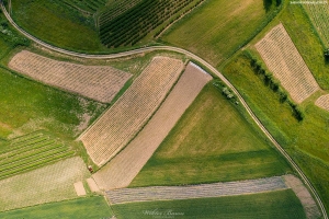 Pola i pastwiska w Beskidzie Wyspowym - Fotografia lotnicza 