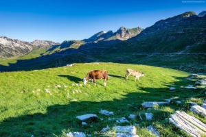 Góry Durmitor 