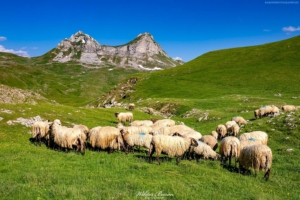 Góry Durmitor 