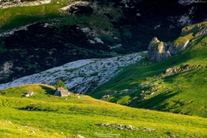 Góry Durmitor 