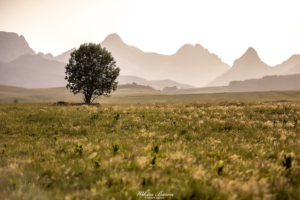 Góry Durmitor 