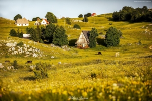 Góry Durmitor 