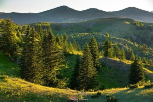 Góry Durmitor 