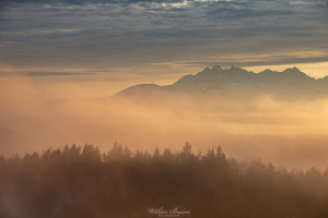 Widok na Tatry z Koziarza