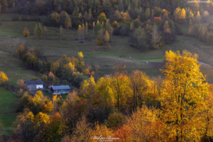 Beskid Sądecki 