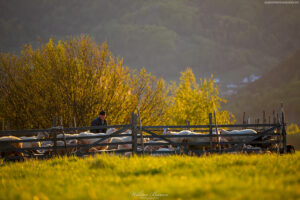 Koszar na Jarzębakach
