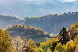 Beskid Sądecki 