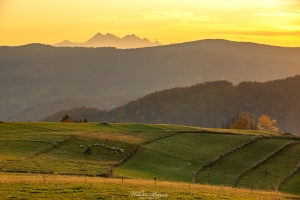 Beskid Sądecki 