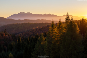 Beskid Sądecki 