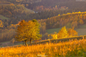 Beskid Sądecki