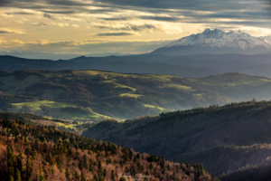 Beskid Sądecki 