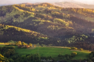 Widok z platformy widokowej na wiosenny Beskid Sądecki 