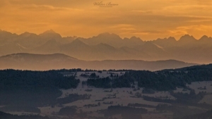 Widok na Tatry z Sałaszu  