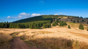 Beskid Żywiecki