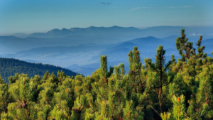 Beskid Żywiecki