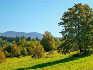 Beskid Żywiecki