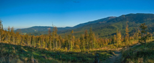 Beskid Żywiecki