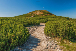 Beskid Żywiecki