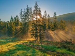 Beskid Żywiecki