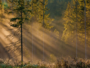 Beskid Żywiecki