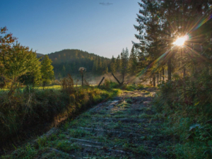 Beskid Żywiecki