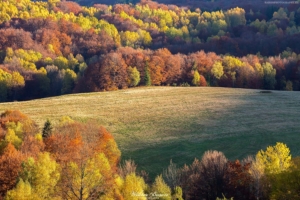 Bieszczady