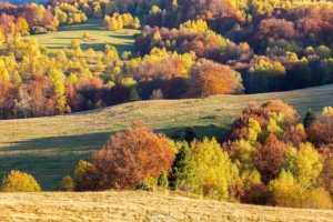 Bieszczady