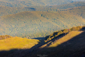 BIESZCZADY-POLONINA-CARYNSKA-20