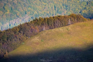 Widok z Połoniny Caryńskiej 