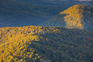 Bieszczady