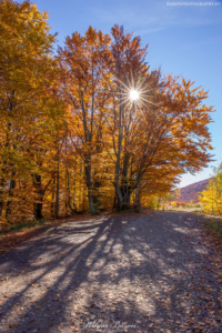 Bieszczady