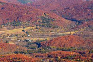 Bieszczady