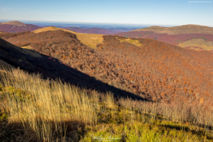 Bieszczady