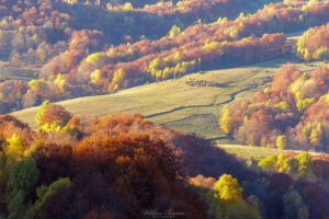 Bieszczady