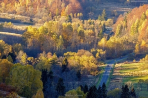 Bieszczady