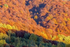 Bieszczady