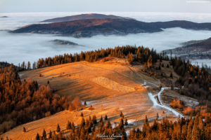 Polana Gorc Kamienicki