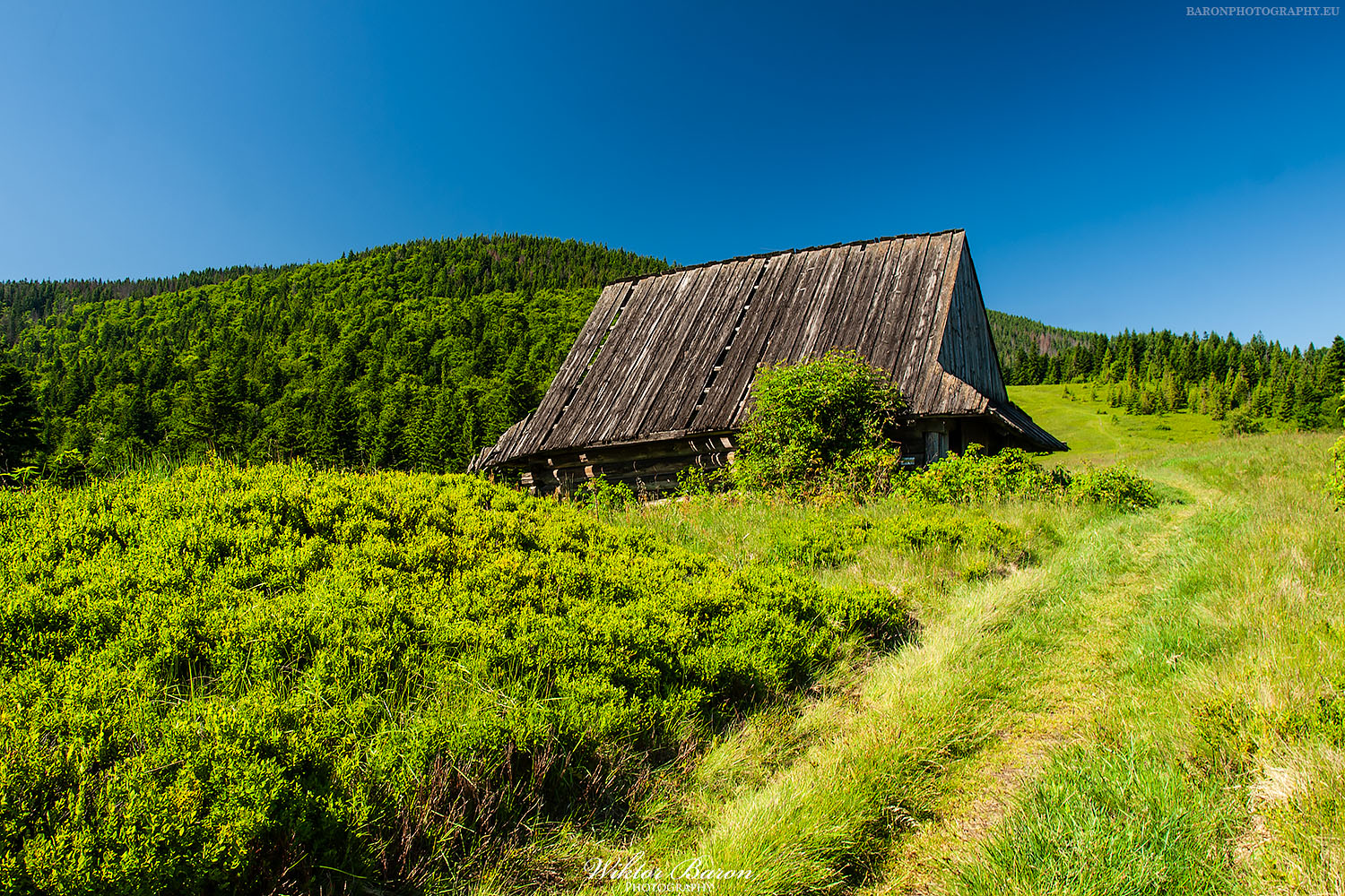 Polana Podskały