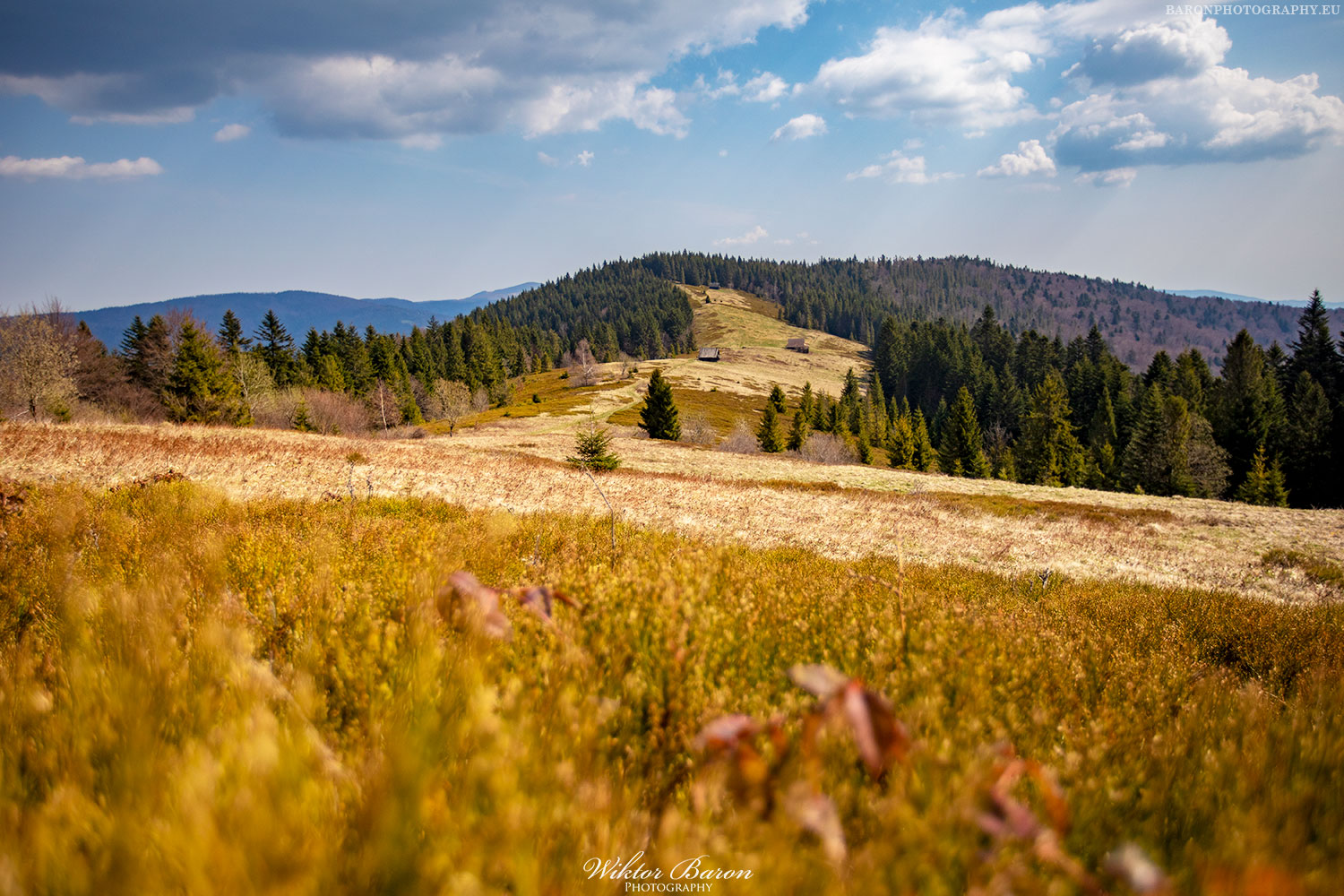 Polana Podskały