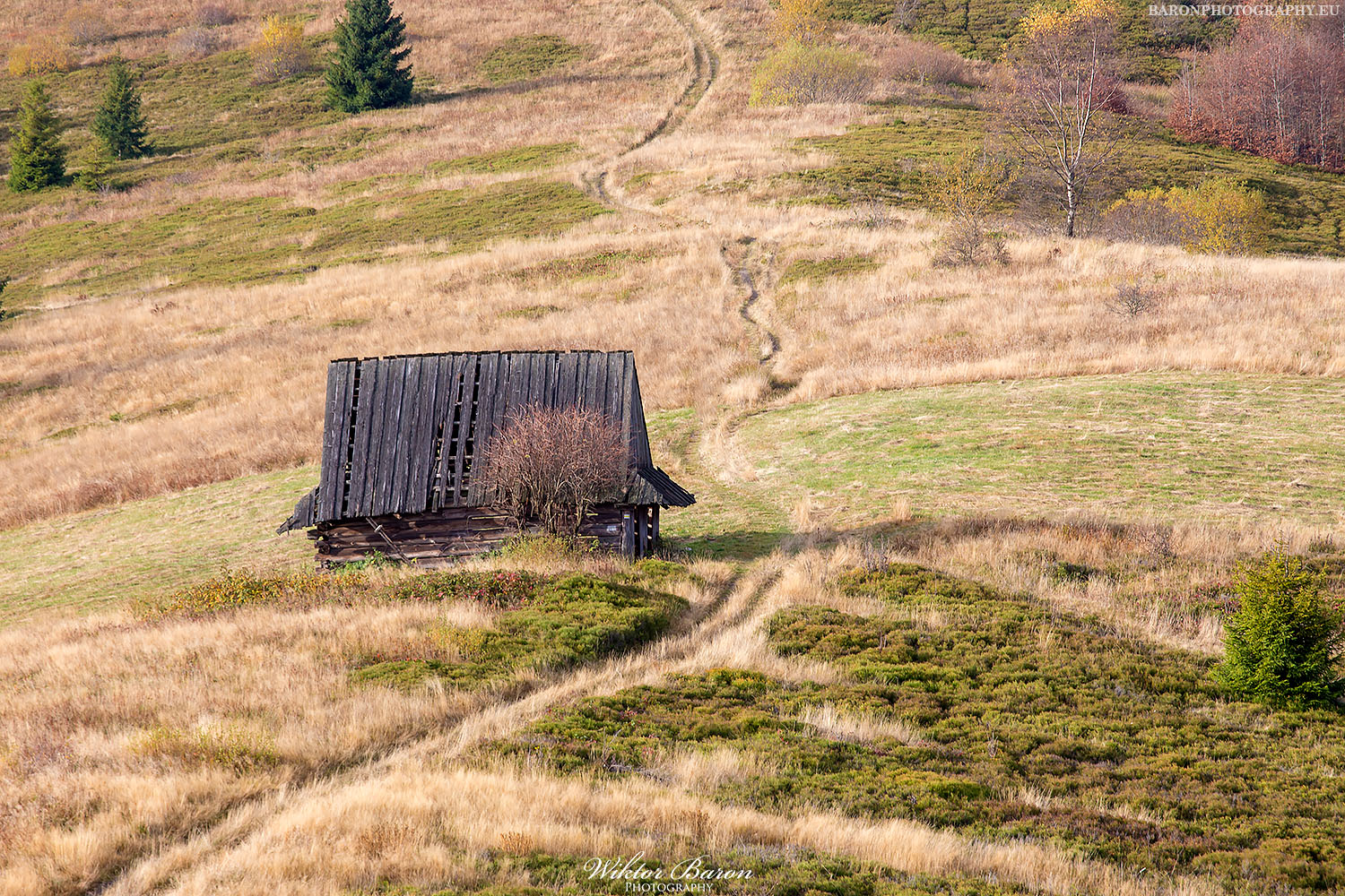 Polana Podskały