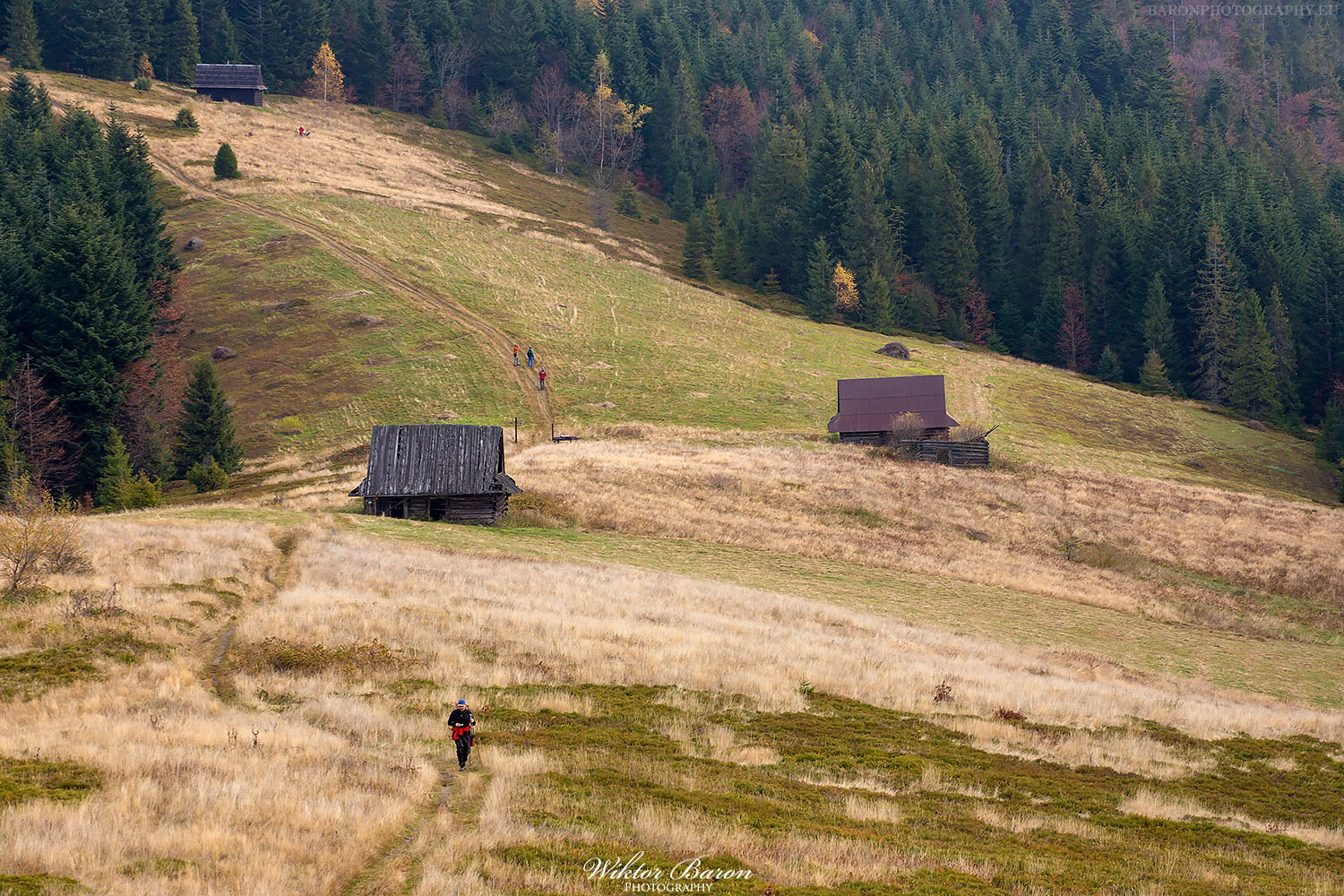 Polana Podskały